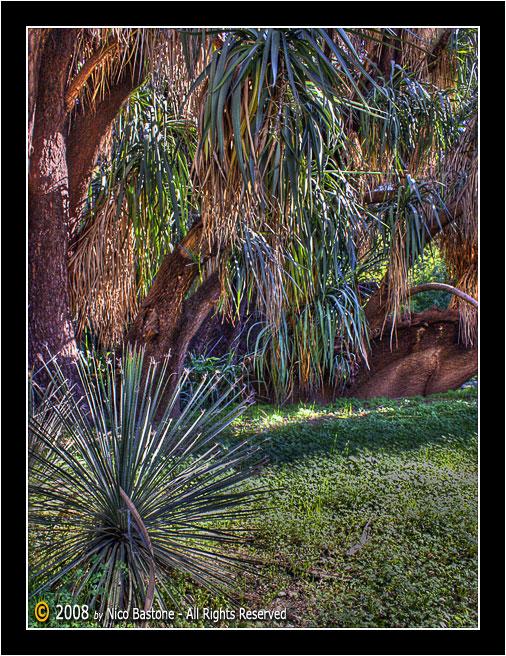 Orto_Botanico_HDR_ (06).jpg